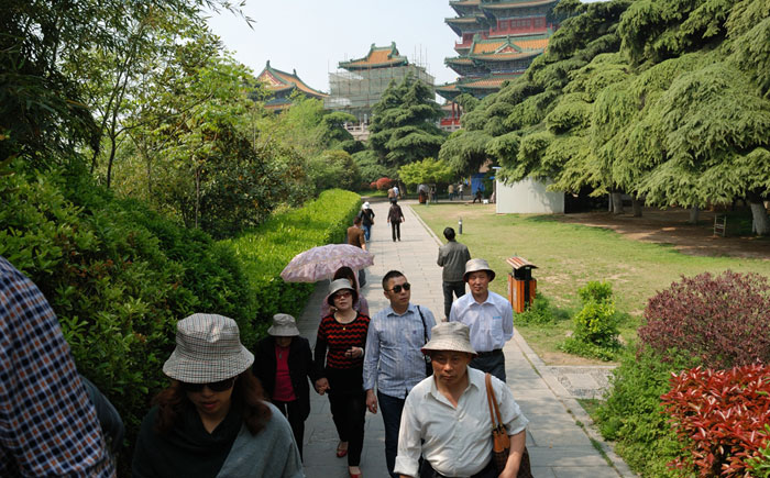 �T�����15