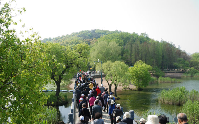 �T�����12